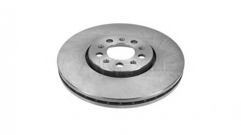 Disc de frana Volkswagen VW GOLF Mk IV Estate (1J5) 1999-2006 #2 09701020