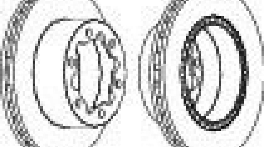 Disc frana MERCEDES SPRINTER 4,6-t caroserie (906) (2006 - 2016) FERODO FCR312A piesa NOUA