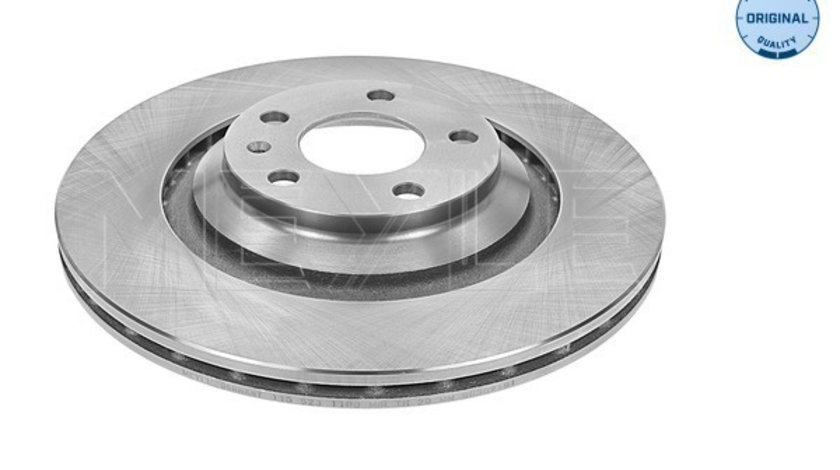 Disc frana puntea spate (1155230028 MEYLE) AUDI,AUDI (FAW)