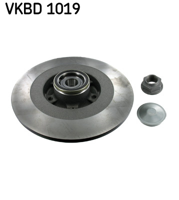 Disc frana puntea spate (VKBD1019 SKF) RENAULT