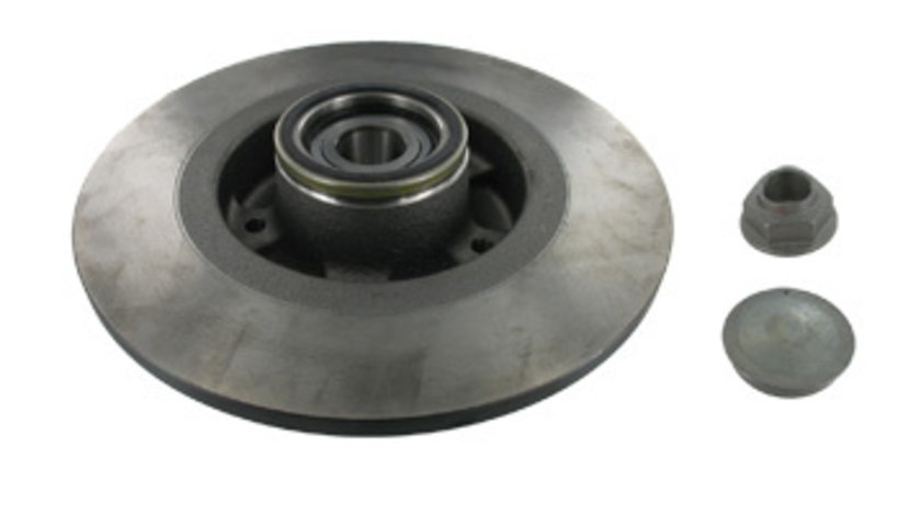 Disc frana puntea spate (VKBD1028 SKF) RENAULT