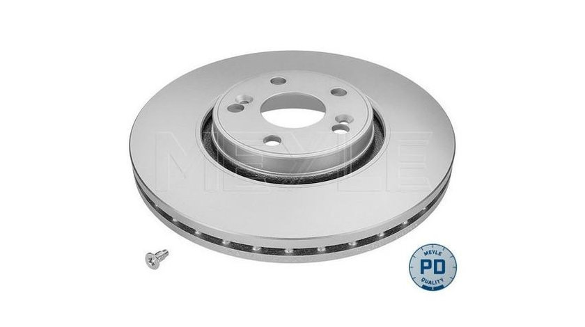 Disc frana Renault LAGUNA II (BG0/1_) 2001-2016 #2 0986479199