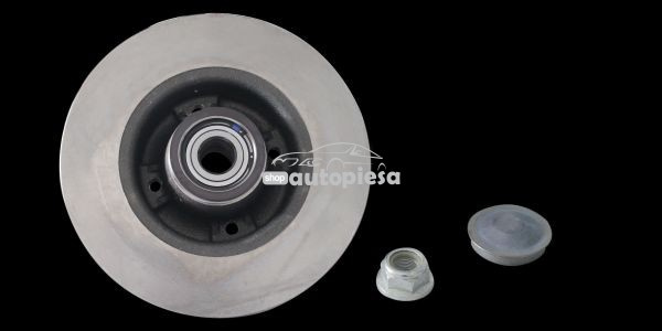 Disc frana RENAULT MEGANE II Grandtour (KM0/1) (2003 - 2012) RINGER 0950004247 piesa NOUA