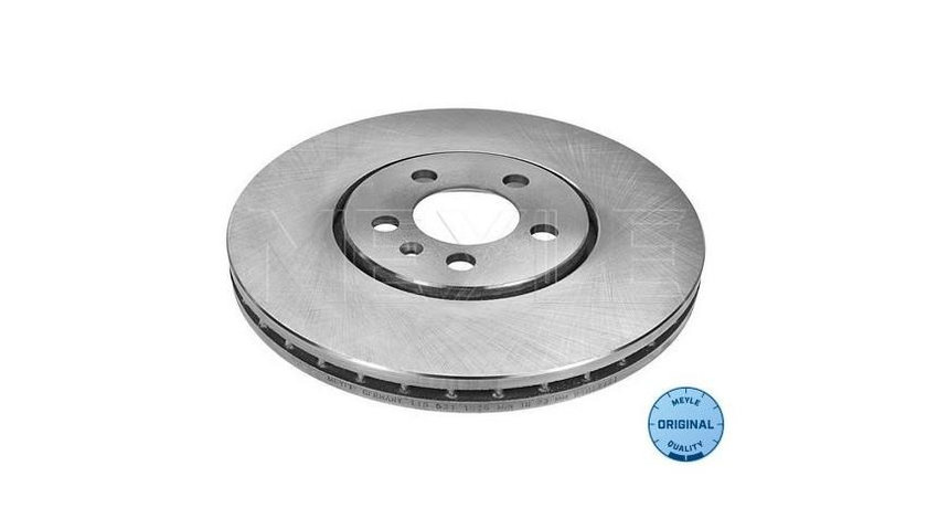 Disc frana Volkswagen VW VENTO (1H2) 1991-1998 #2 09674710