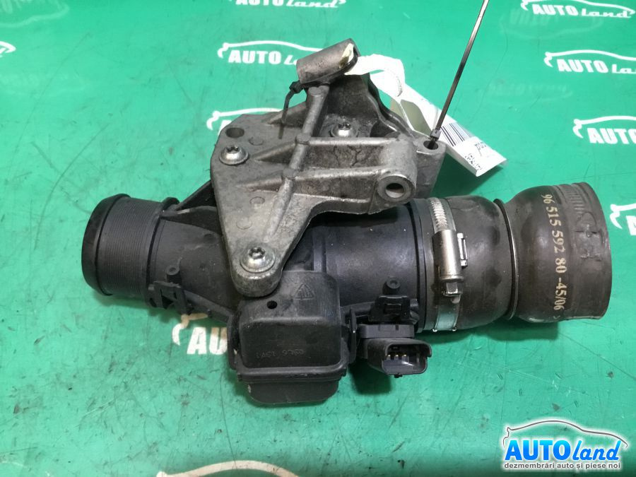 Dozator Aer 9660030380 1.6 HDI Peugeot 207 2006