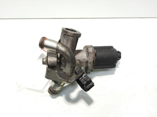 Egr, cod 55195196, Opel Astra H Twin Top, 1.3 CDTI, Z13DTH (idi:596873)