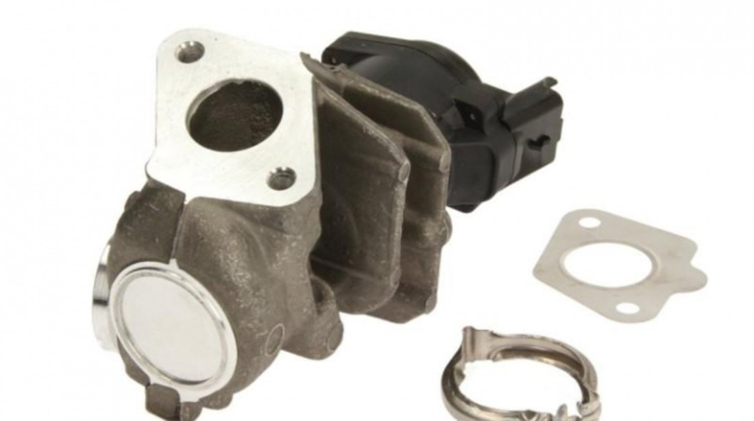 Egr Ford FOCUS II limuzina (DA_) 2005-2016 #3 010171091