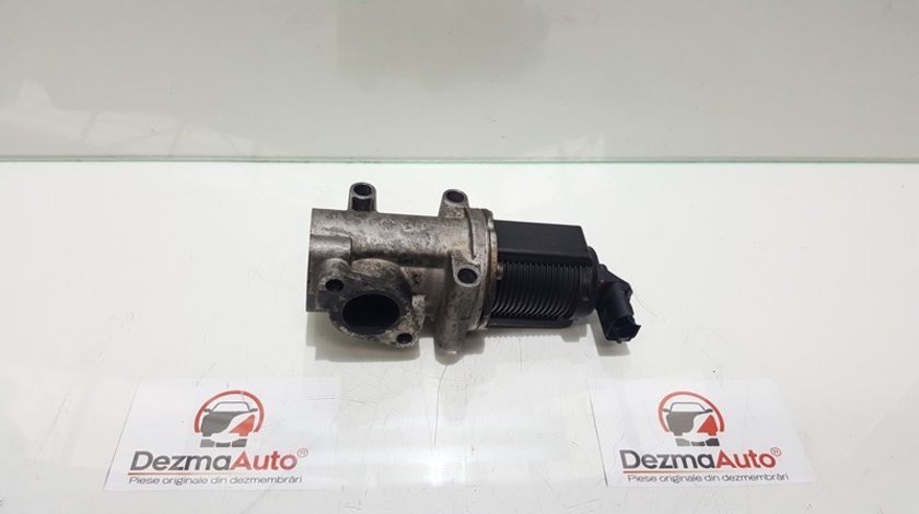 Egr GM55205455, Fiat Grande Punto Van (199), 1.9 diesel