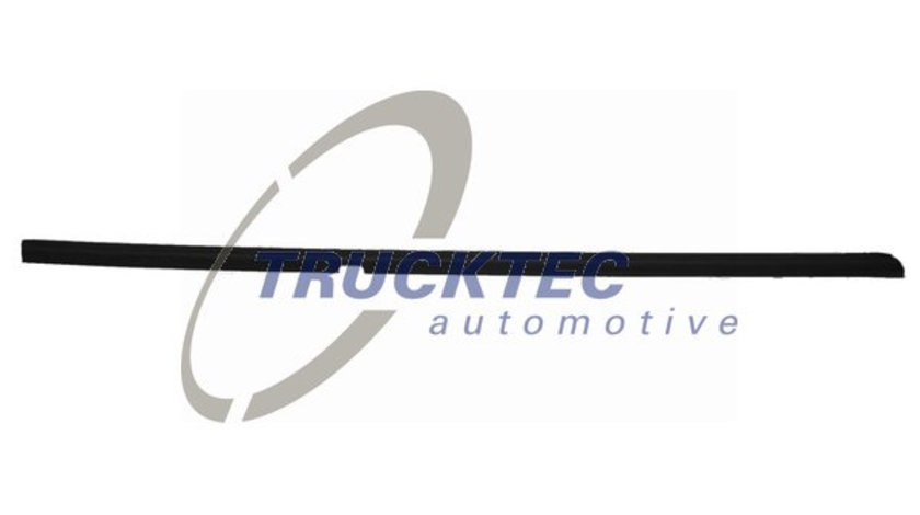 Elemente decorative/protectie, geamuri portiera exterior (0254018 TRUCKTEC) MERCEDES-BENZ