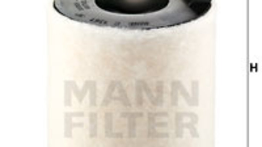 Filtru aer (C1361 MANN-FILTER) BMW