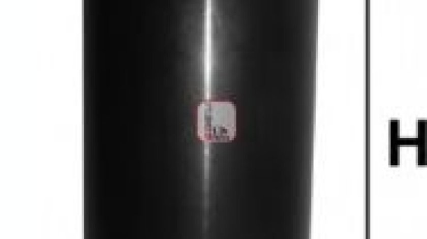 Filtru combustibil IVECO DAILY IV platou / sasiu (2006 - 2011) SOFIMA S 1071 B piesa NOUA