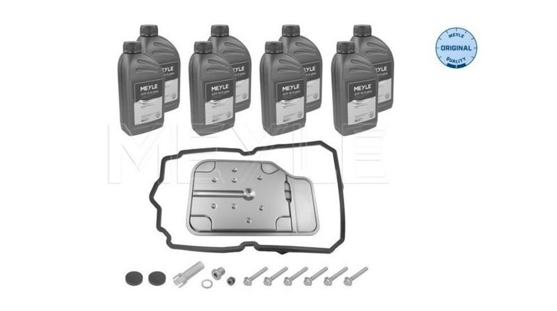 Filtru hidraulic, cutie de viteze automata Mercedes M-CLASS (W164) 2005-2016 #2 10924538