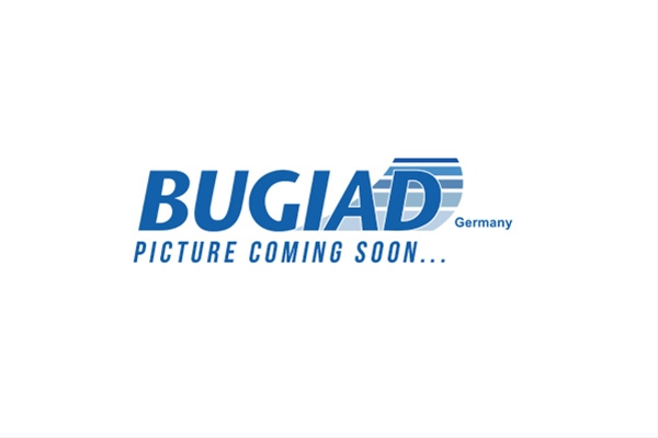 Fixare Usa Bugiad Opel BDC12468