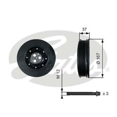 Fulie curea, arbore cotit FORD TRANSIT platou / sasiu (FM, FN) (2000 - 2006) GATES TVD1060A piesa NOUA