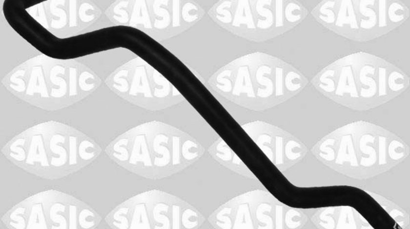 Furtun radiator iesire (3404069 SAS) DACIA,RENAULT