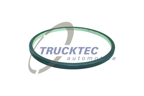 Garnitura (0130012 TRUCKTEC)