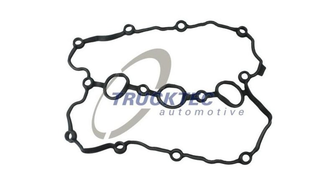 Garnitura capac chiulasa Audi AUDI A4 Cabriolet (8H7, B6, 8HE, B7) 2002-2009 #2 06E103484G