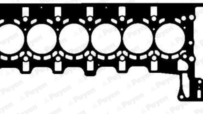 Garnitura, chiulasa (AH6420 PAYEN) BMW,BMW (BRILLIANCE)