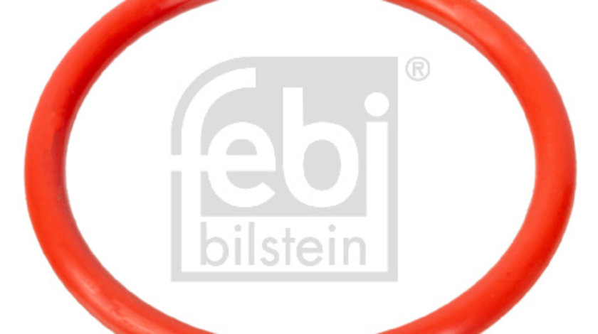 Garnitura, flansa lichid racire (100078 FEBI BILSTEIN) MERCEDES-BENZ