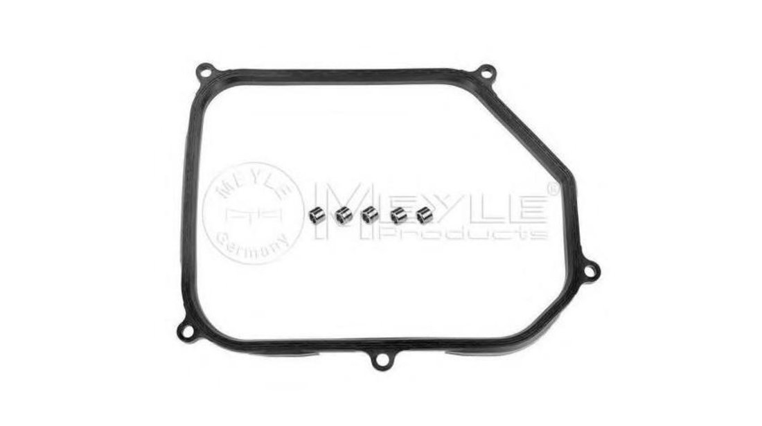 Garnitura numar inmatriculare Volkswagen VW TRANSPORTER Mk V platou / sasiu (7JD, 7JE, 7JL, 7JY, 7JZ, 7F 2003-2016 #2 098321370