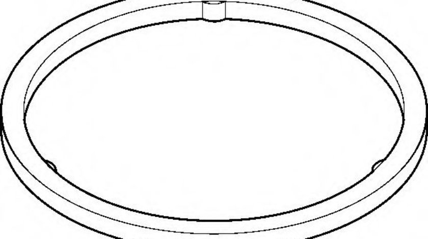 Garnitura, racord evacuare BMW Seria 3 (E90) (2005 - 2011) ELRING 737.710 piesa NOUA