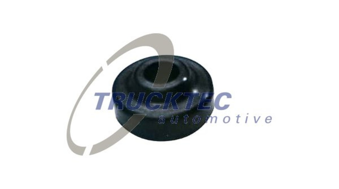 Garnitura, suruburi capac supape (0810038 TRUCKTEC) BMW