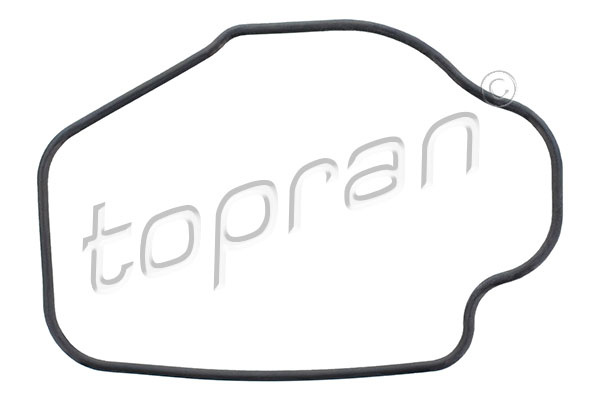 Garnitura termostat (202330 HAN) OPEL,VAUXHALL