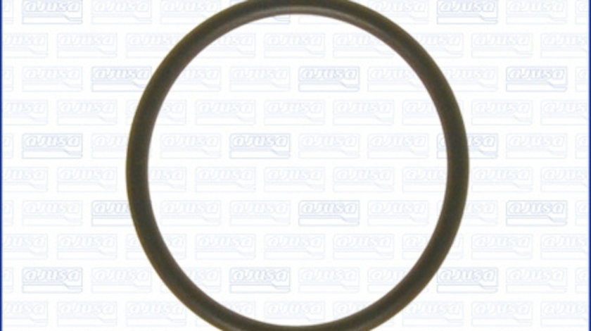 Garnitura termostat centru (16029000 AJUSA) BEDFORD,Citroen,OPEL,PEUGEOT,RENAULT,SEAT,SKODA,VAUXHALL,VOLVO,VW