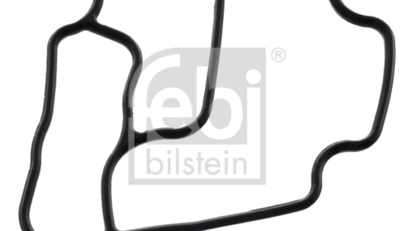 Garnituri, carcasa filtru ulei (100513 FEBI BILSTEIN) BMW