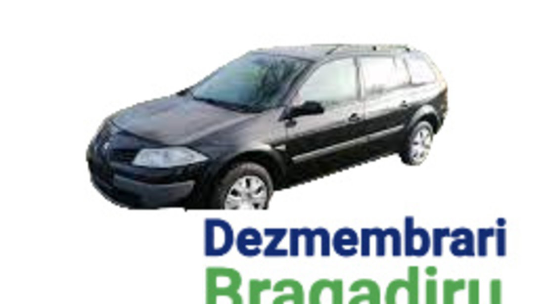 Geam fix usa spate dreapta Renault Megane 2 [2002 - 2006] wagon 1.5 dCi MT (105 hp)