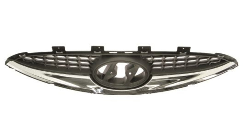 Grila radiator (6502073129990P BLIC) HYUNDAI