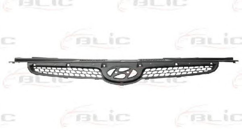 Grila radiator (6502073135990P BLIC) HYUNDAI