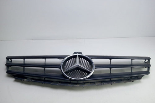 Grila radiator A1698801583 Mercedes-Benz A-Class W169 [2004 - 2008]