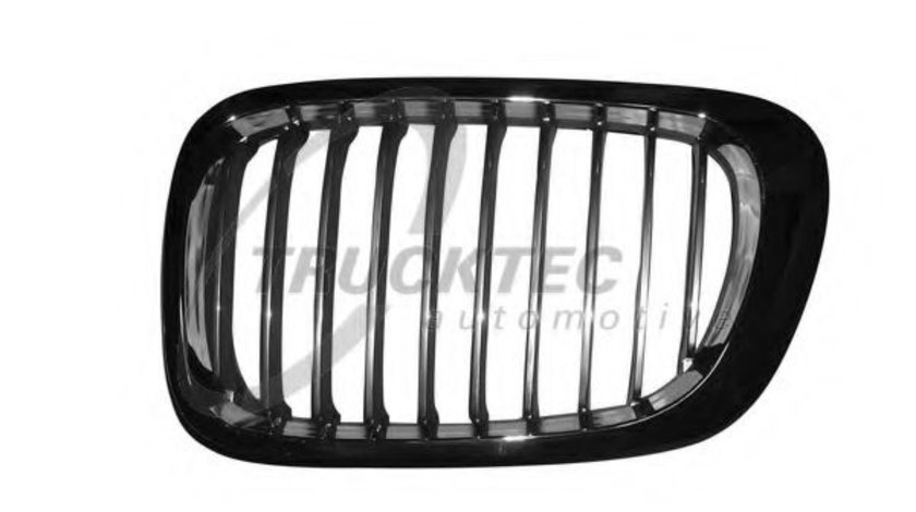 Grila radiator BMW Seria 3 Cabriolet (E46) (2000 - 2007) TRUCKTEC AUTOMOTIVE 08.62.296 piesa NOUA