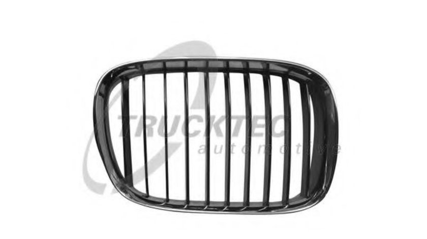 Grila radiator BMW Seria 5 (E39) (1995 - 2003) TRUCKTEC AUTOMOTIVE 08.62.250 piesa NOUA