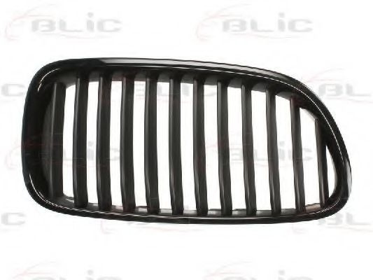 Grila radiator BMW Seria 5 (F10, F18) (2009 - 2016) BLIC 6502-07-0067991P piesa NOUA