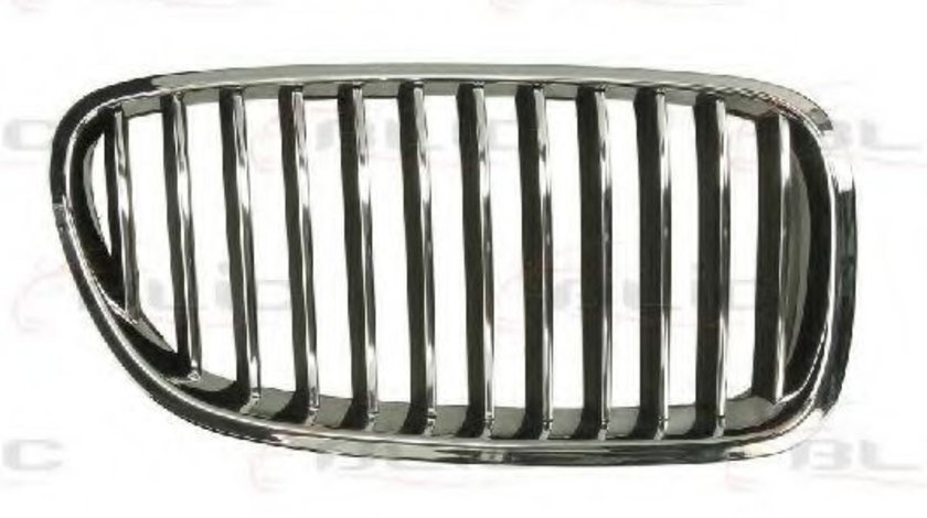 Grila radiator BMW Seria 5 Touring (F11) (2010 - 2016) BLIC 6502-07-0067994P piesa NOUA