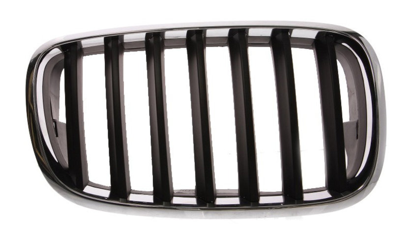 Grila radiator BMW X6 (E71, E72) (2008 - 2014) BLIC 6502-07-0096992P piesa NOUA