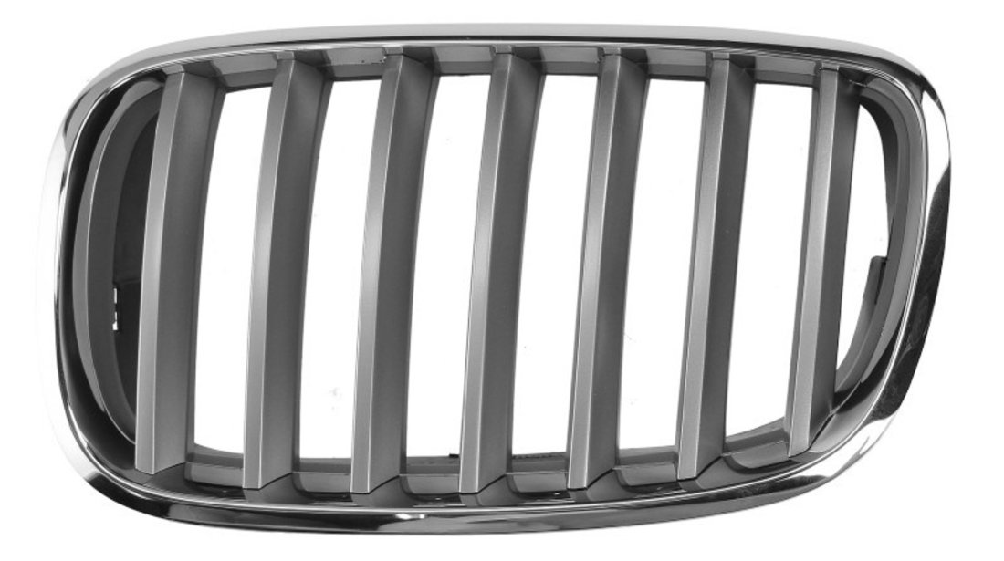 Grila radiator BMW X6 (E71, E72) (2008 - 2014) BLIC 6502-07-0096991PP piesa NOUA