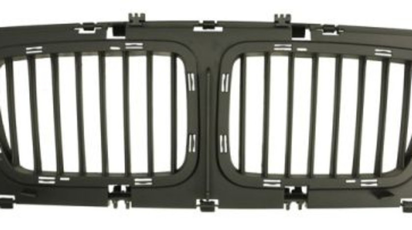 Grila radiator centru (6502070057999P BLIC) BMW