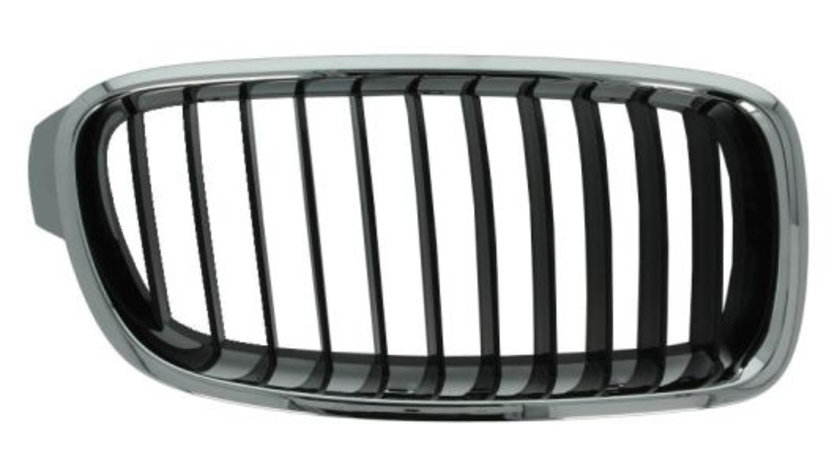 Grila radiator dreapta (6502070063992P BLIC) BMW