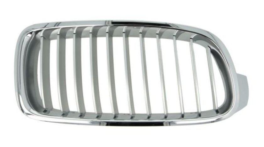 Grila radiator dreapta (6502070063994P BLIC) BMW