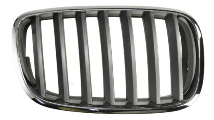 Grila radiator dreapta (6502070096992PP BLIC) BMW