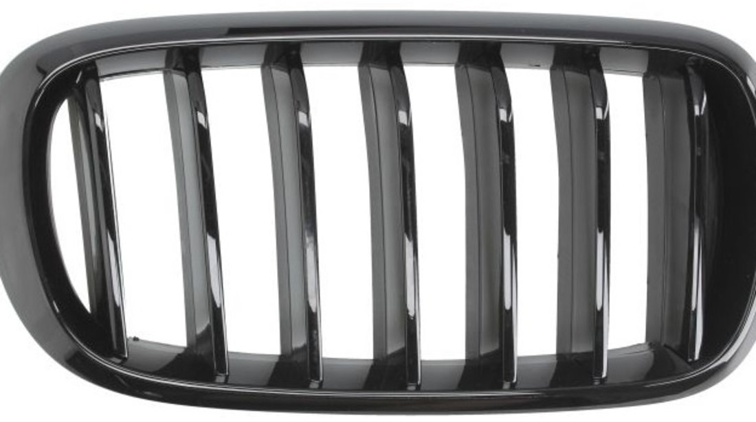 Grila Radiator Dreapta Blic Bmw X5 F15, F85 2013-2018 M-Pachet Negru 6502-07-00969988P