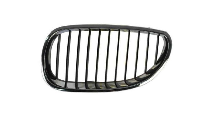 Grila radiator fata stanga (6502070066991P BLIC) BMW