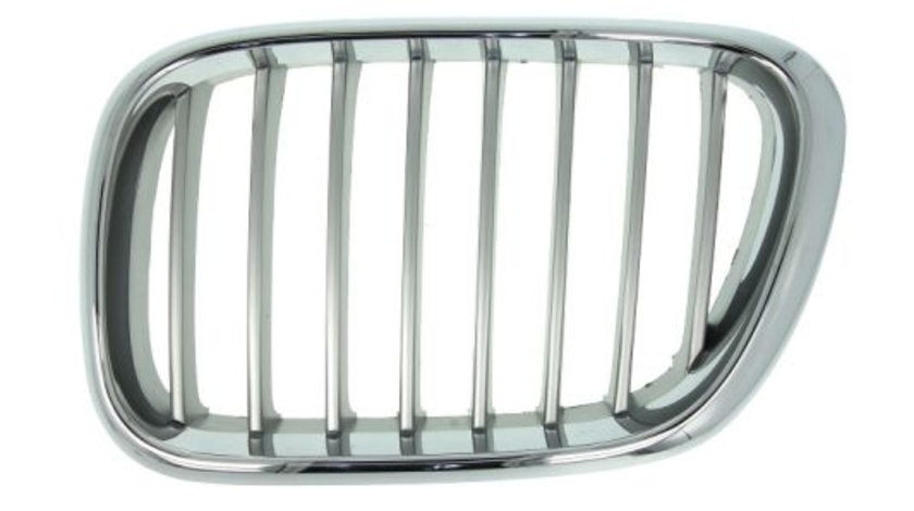 Grila radiator fata stanga (6502070095991P BLIC) BMW