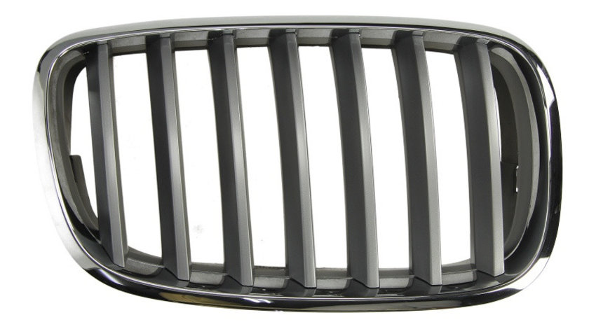 Grila radiator noua BMW X5 E70 2007-2010