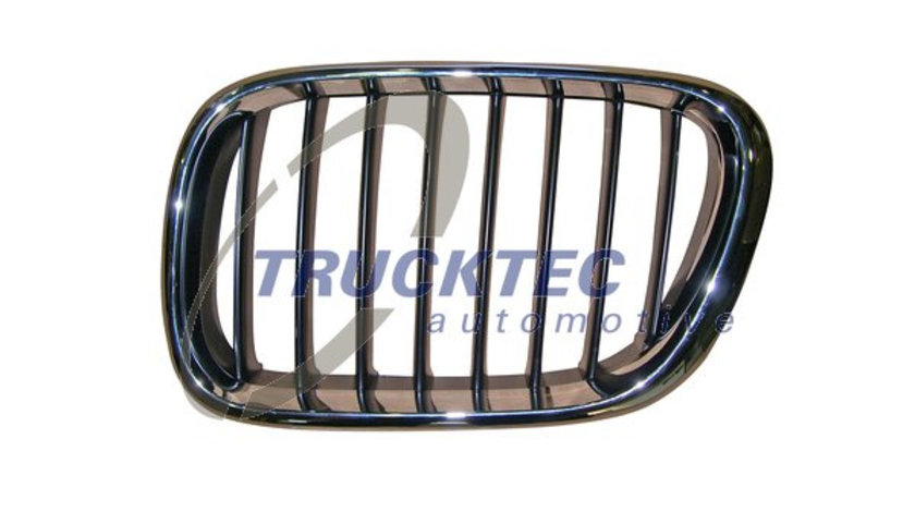 Grila radiator stanga (0862225 TRUCKTEC) BMW