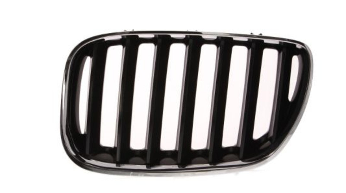 Grila radiator stanga (6502070095995P BLIC) BMW