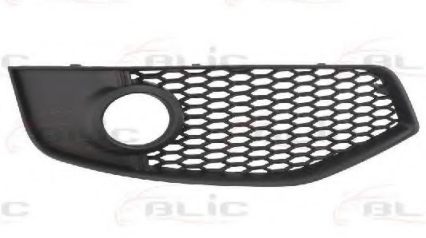 Grila ventilatie, bara protectie AUDI A3 (8P1) (2003 - 2012) BLIC 6502-07-0026922P piesa NOUA